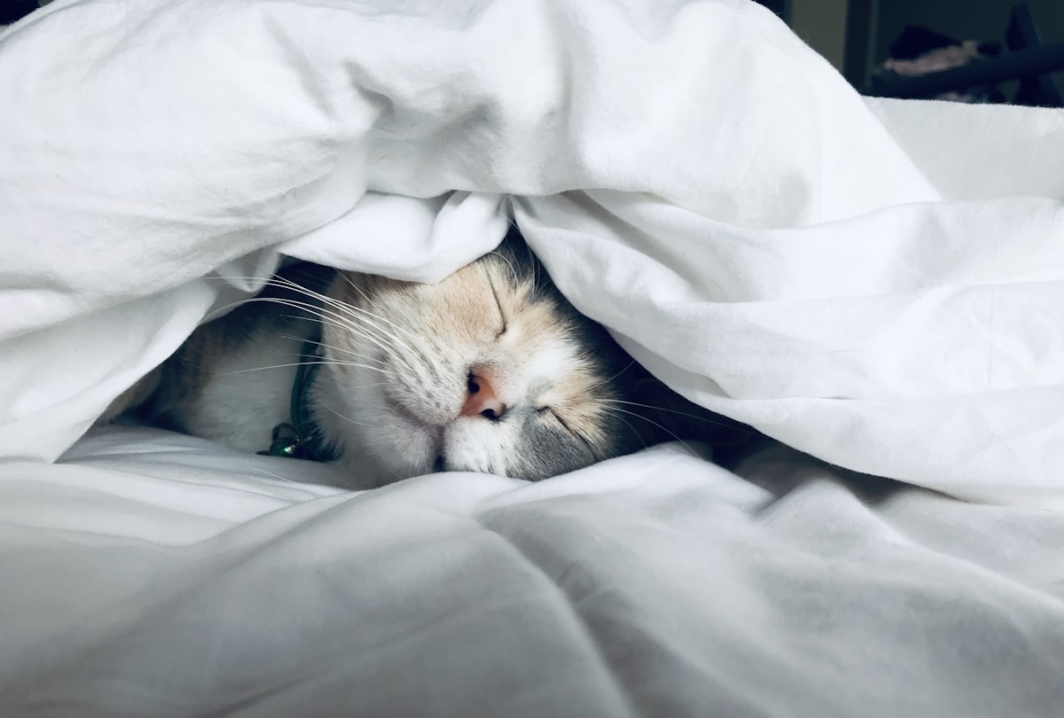 Sleep and Fitness Connection